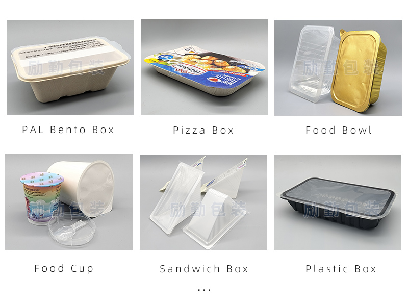 Takeaway lunch box sealing machine packaging case